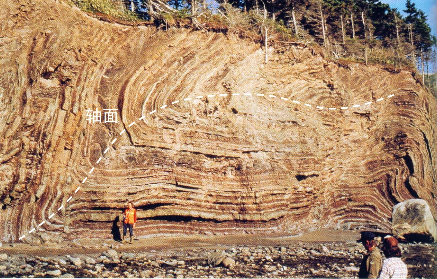 第6章地质构造知识巩固基础篇含答案地质学与工程地质
